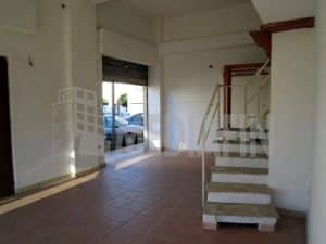 afmag corso italia05