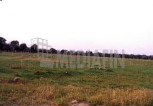veter edif crosetto 1000 2