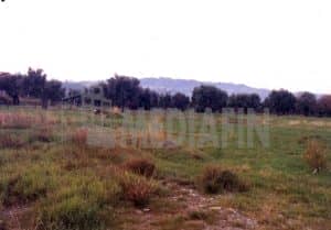 veter edif crosetto 1000 3
