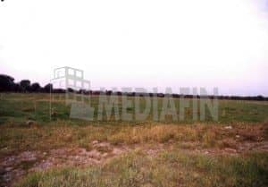 veter edif crosetto 1000 4