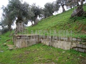 veter s antonio 2