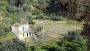 vetercasa celadi 50 01
