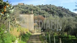 vetercasa celadi 50 02
