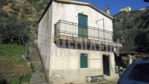 vetercasa celadi 50 03