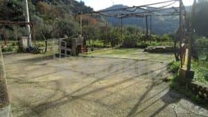 vetercasa celadi 50 06