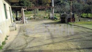 vetercasa celadi 50 07