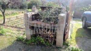 vetercasa celadi 50 08